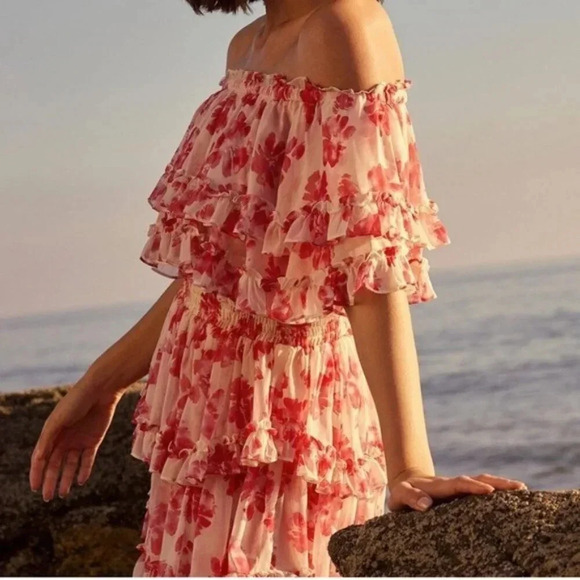 MISA LOS ANGELES Isella Floral Ruffle Georgette Mini Dress Pink White Size S NWT - Picture 16 of 16